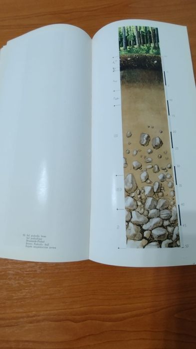 *Solurile României : Constantin D. Chiriță / altele