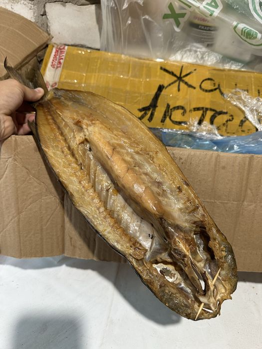 Копченный Кефаль