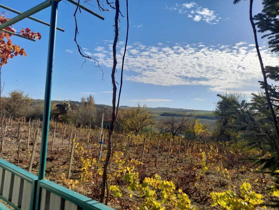 Продава се Къща в Плевен, Индустриална зона - Запад - 20 кв.м за 600 €/кв.м - Снимка #8