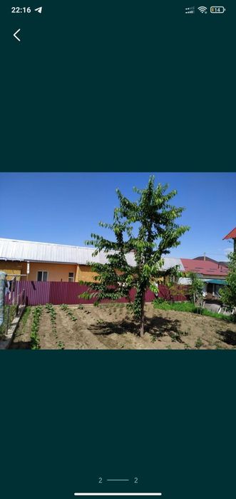 Сдам времянку в Талгаре