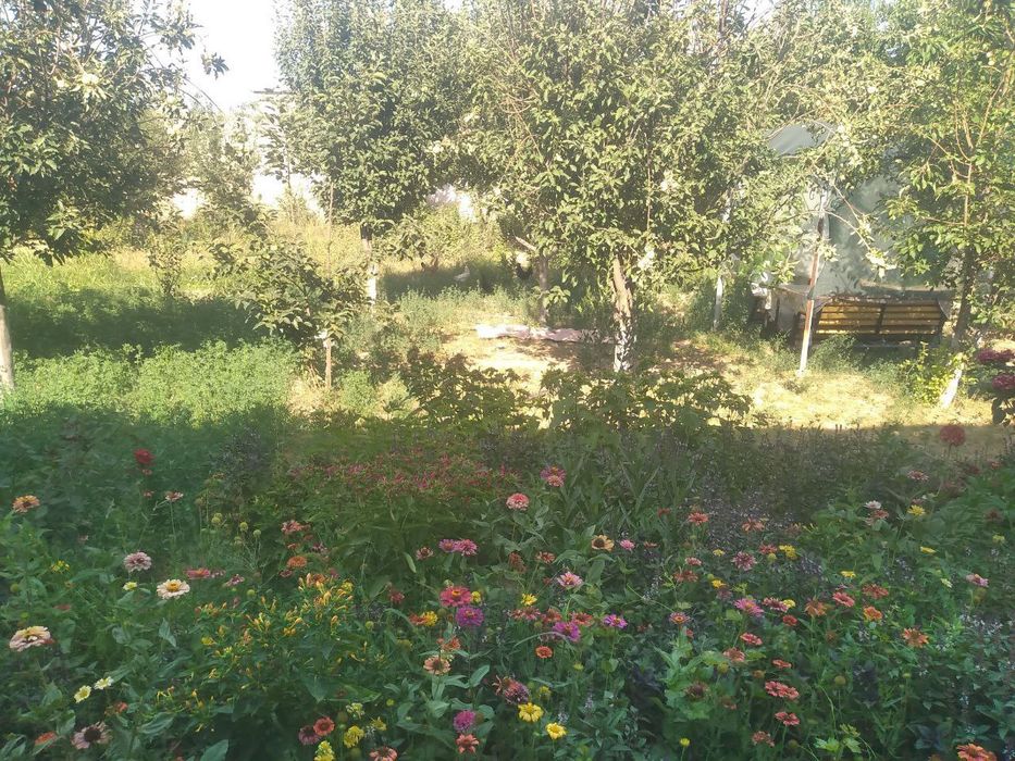 Hamma sharoitlari mavjud yer maydoni 6 sotix