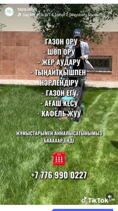 Газон және Шөп орамыз