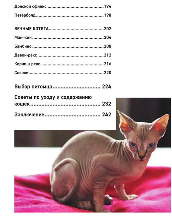 Книга "Породы кошек "