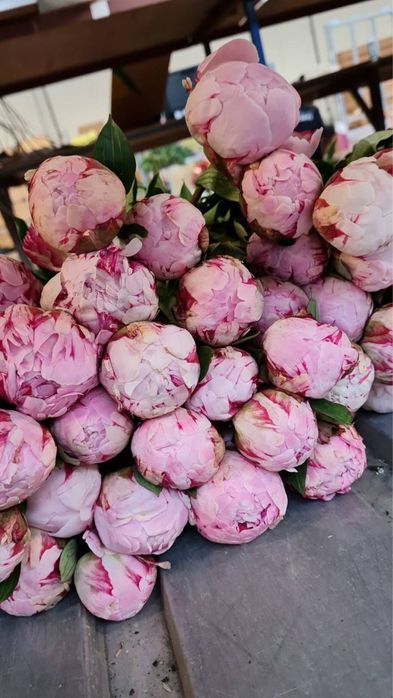 Купить розы,букет цветов,букет на подарок,пионы