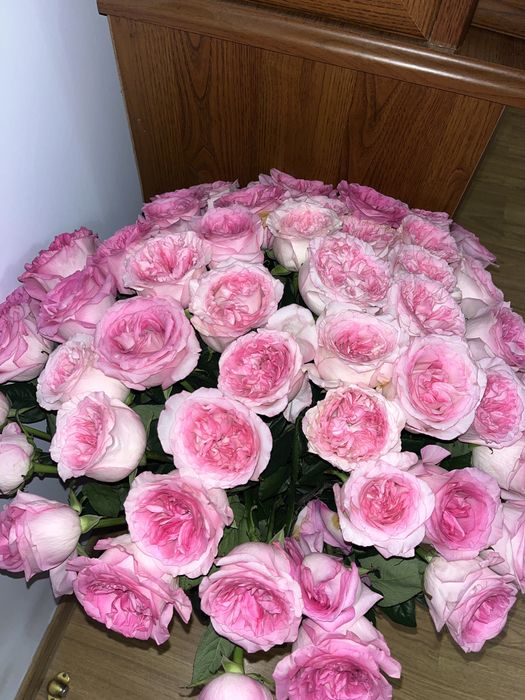 51 пионовидные роза