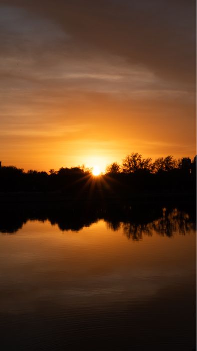 Мобилограф / Видеоограф Астана