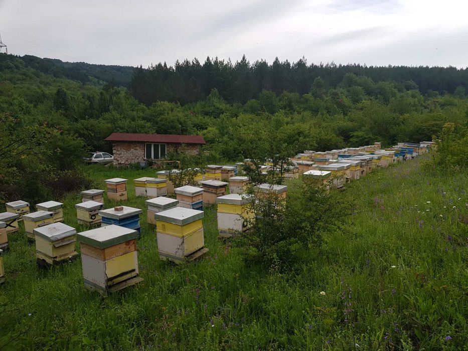 Продавам панорамен имот от 8 000 кв.м