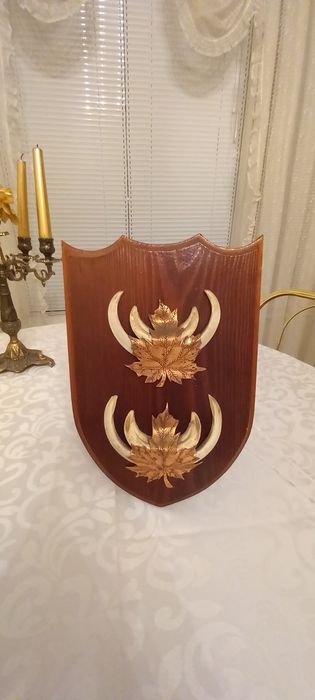 Немски трофеи диво прасе, документ, трофей