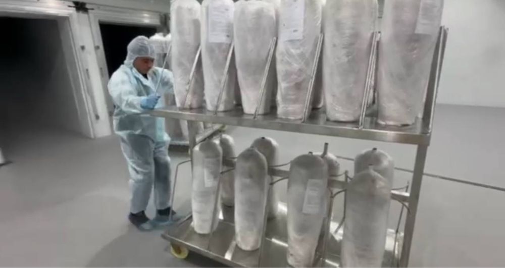 Lavash Donar goʻshti