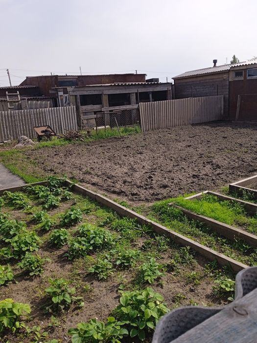 Продается дом село Перцевка