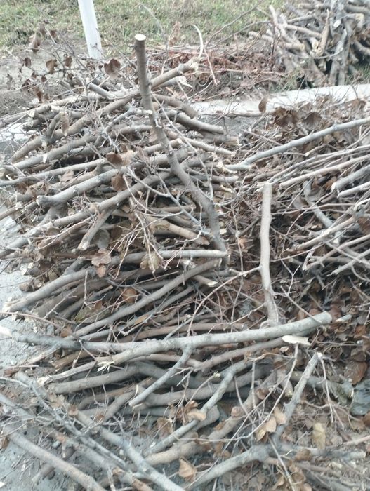 Срочно сотилади .