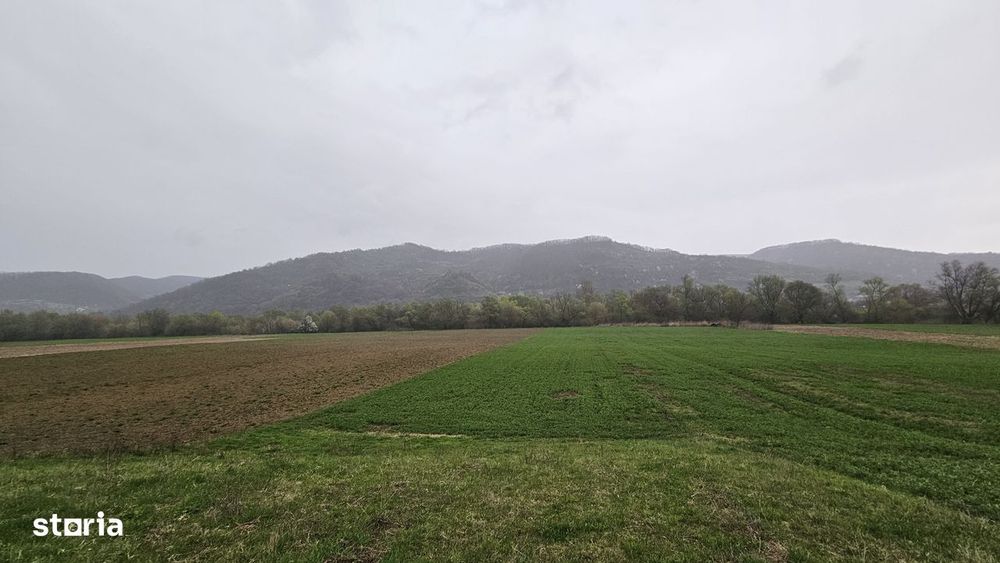 Vand Teren Agricol Galgau Jud Salaj