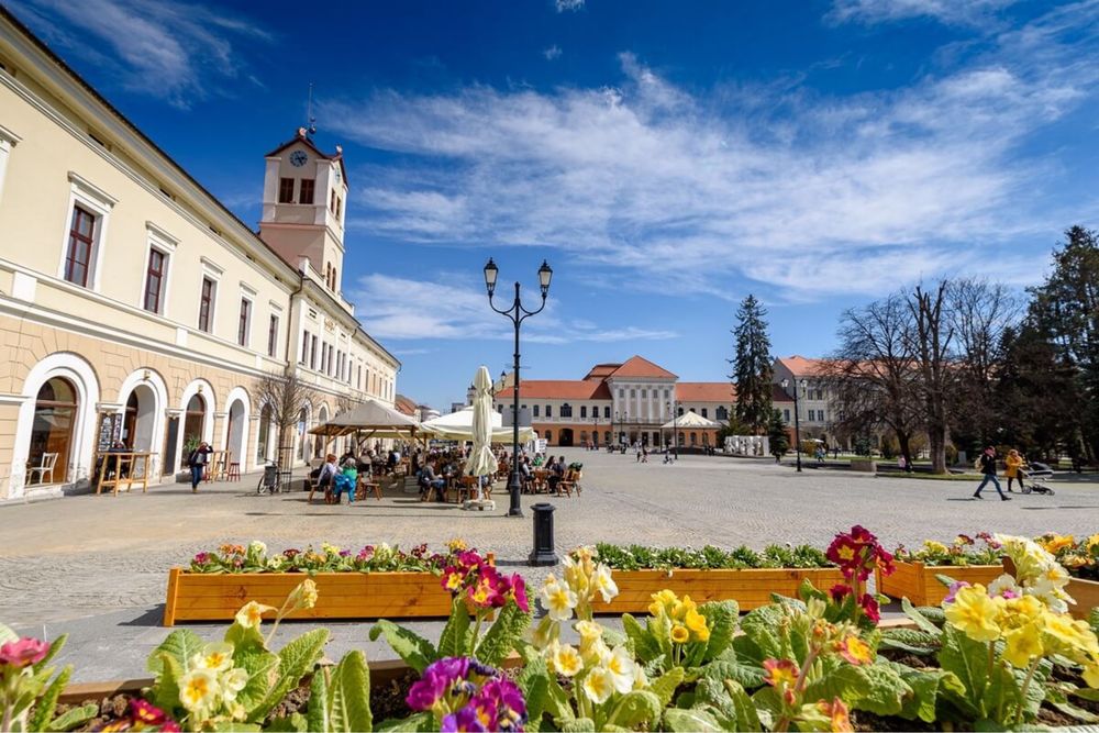 Caut chirie in sfantu gheorghe
