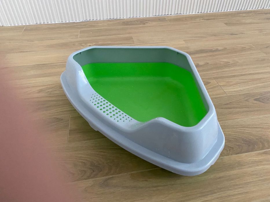 Латок для кошек и котенок