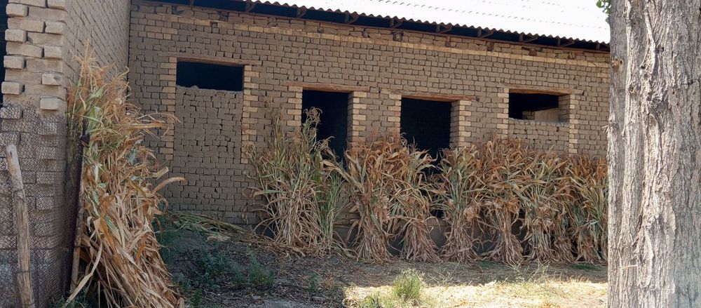 Bank qilb beriladi Tayyor 6 xonali uchastka yer maydoni 7.2 sotix nar