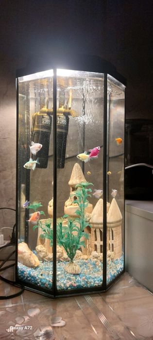 Аквариум с рыбками