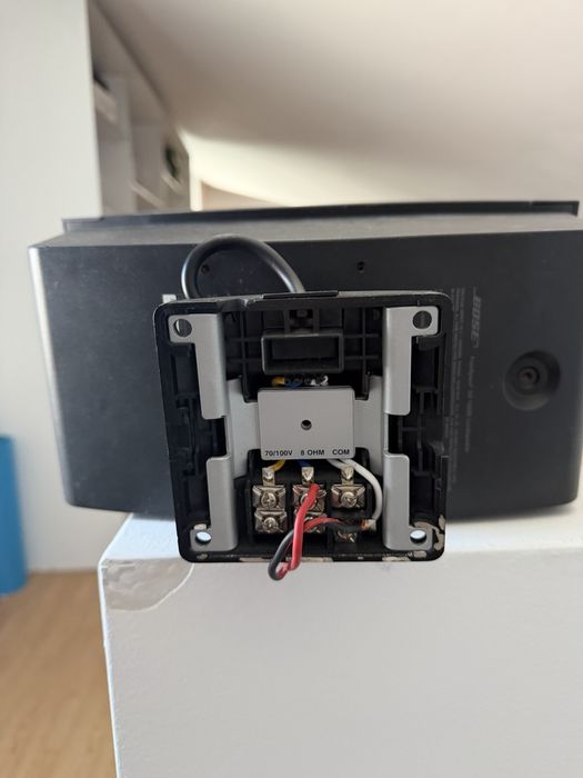 Bose DS100SE  free space