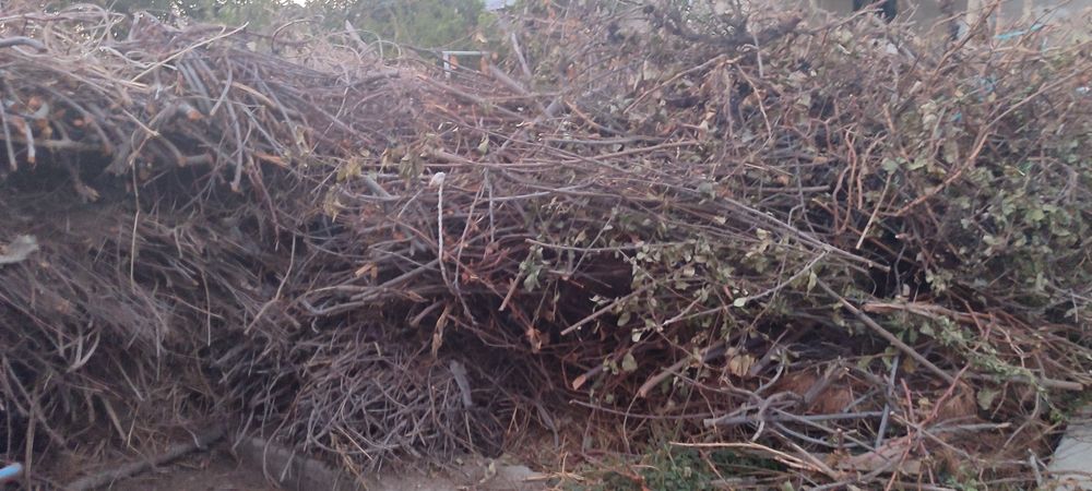 O'tinlar sotiladi kelishilgan holda