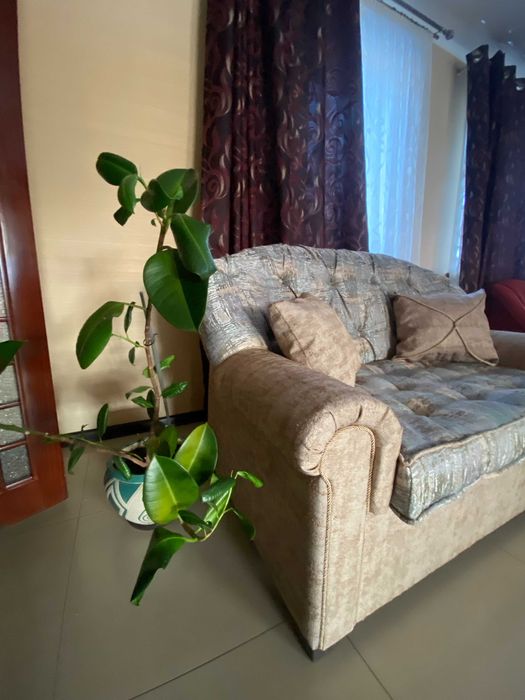 Продам диван-софу