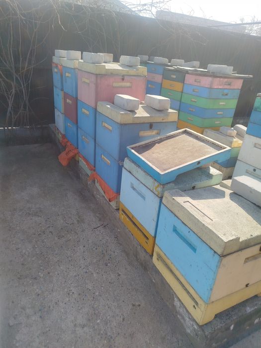Продам улья дадан пенополистирол