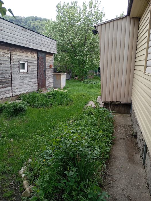 Продам дачу на Ульбастрое