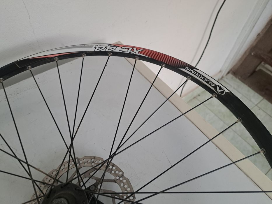 Roti alexrims xc44