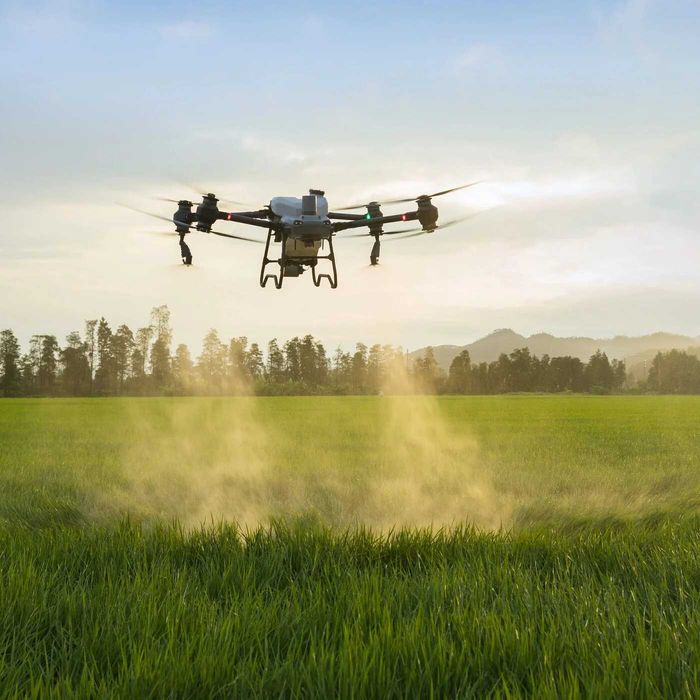 Prestari servicii cu drona agricola