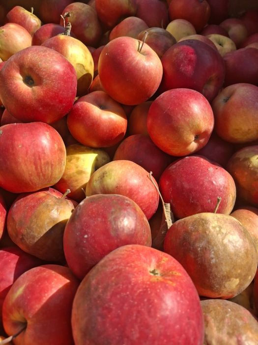 Mere de vanzare pentru gem,suc și rachiu calitate buna,preț avantajos