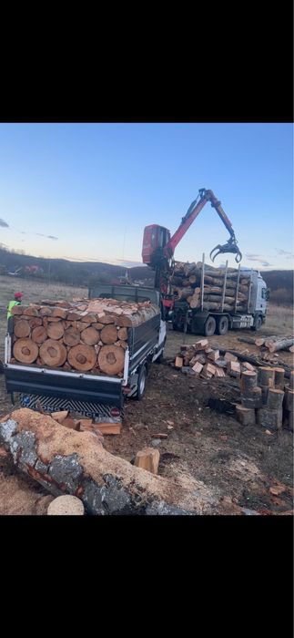 LEMN FOC esenta tare fag/carpen CHERESTEA TIVITA CAL.1, Rumegus de fag