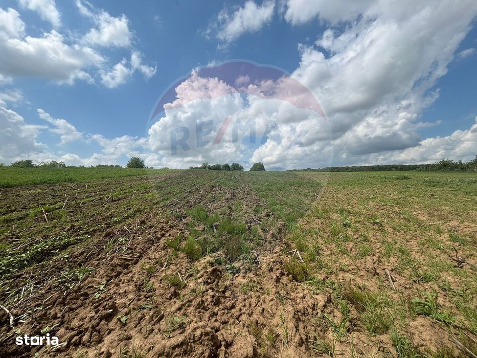 Teren 4,600mp com. Pancesti