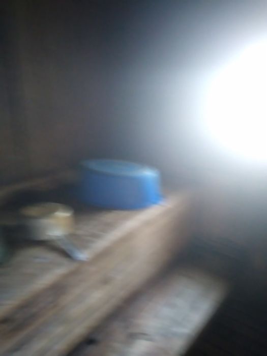 Продам дачу Сады2