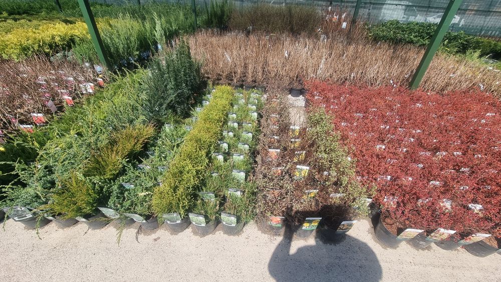 Ландшафтный дизайн