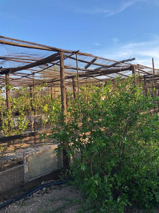 Дача, 13 соток, 2 водоколонка,