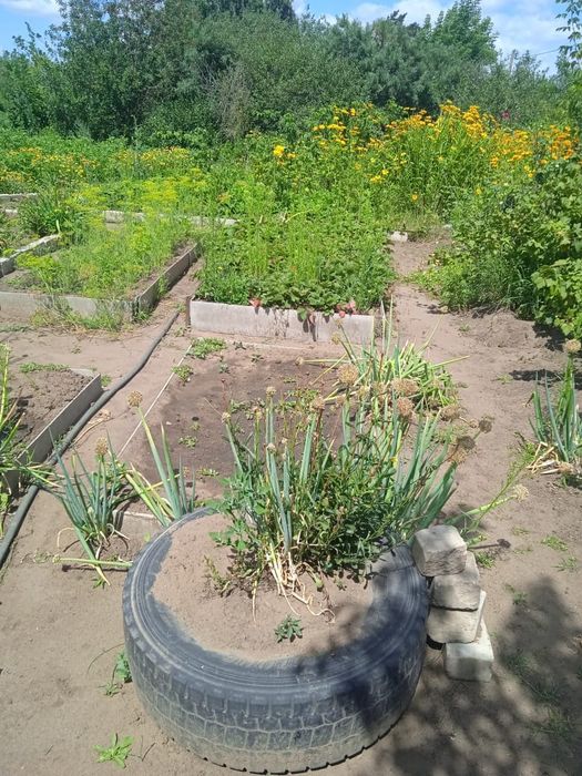 Сдам в аренду с последующим выкупом дачу Мелиоратор