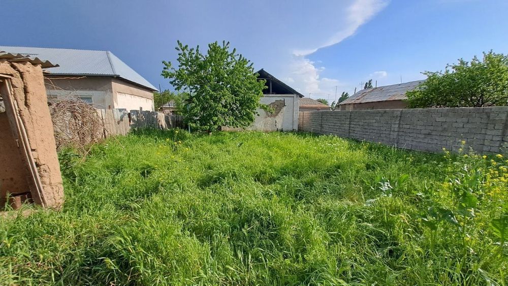 Чирчик Бустонлик Озодбош {Азадбаш} 6"-сотих продаётся