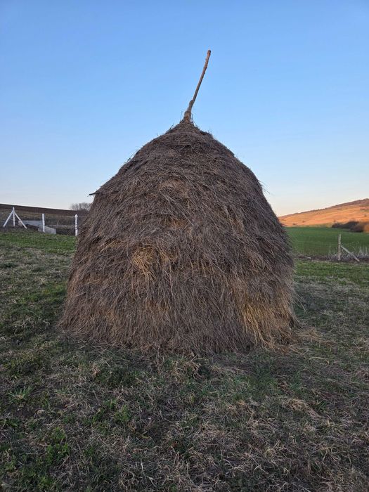 Fân de vânzare cosit și adunat manual