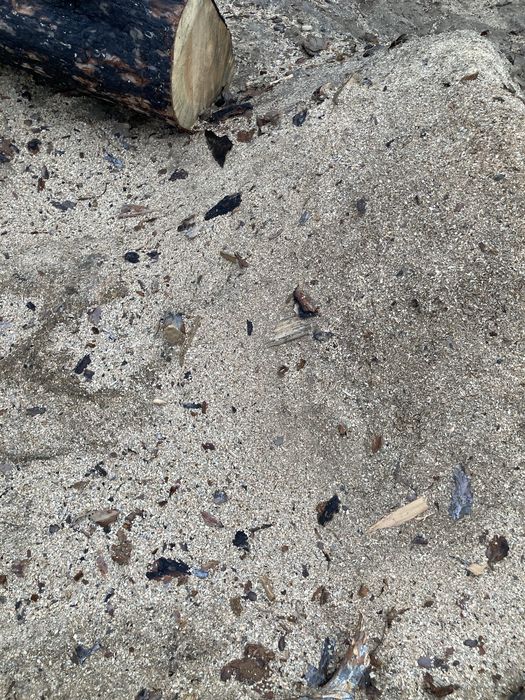 Сосновые опилки для грядок