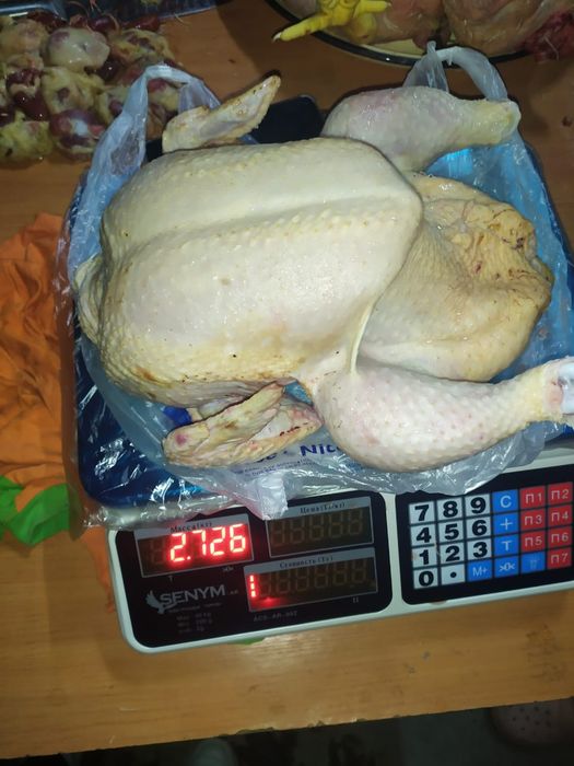 Куриные тушки бройлера