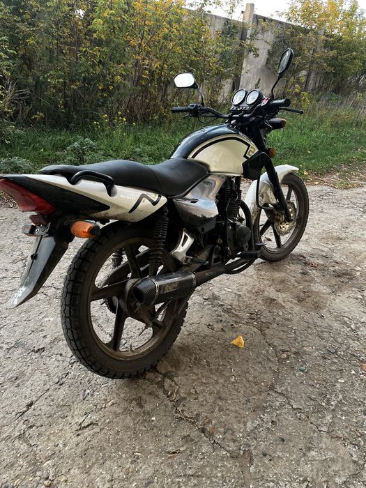 Рейсер Тигр 150 продам