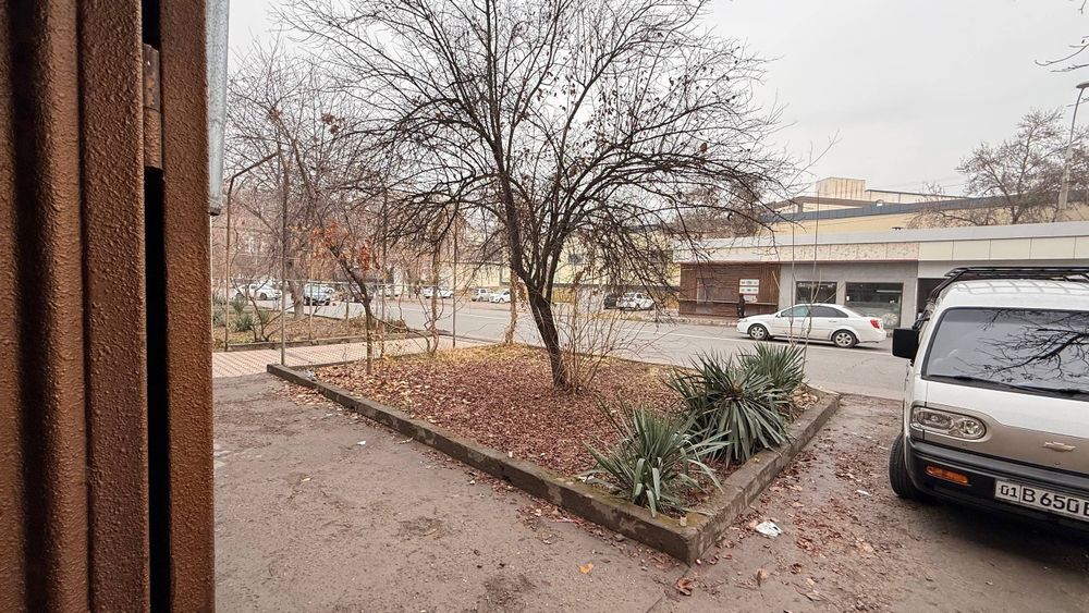 Arendaga yolli yuzida