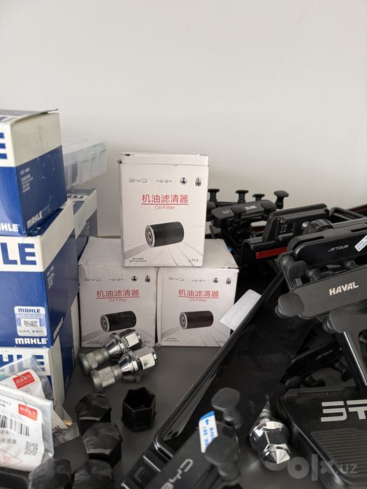 Filrt moy, salon, motor. AITO M9, doongfen 008, BYD song plus