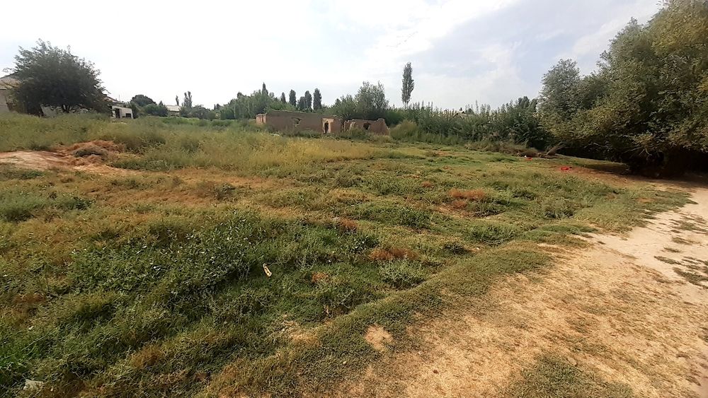 Сирдарё мирзаобод туманида 16сотих курук ер сотилади