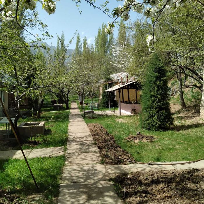 Продается дача 8+30 сот  в горах Хумсан