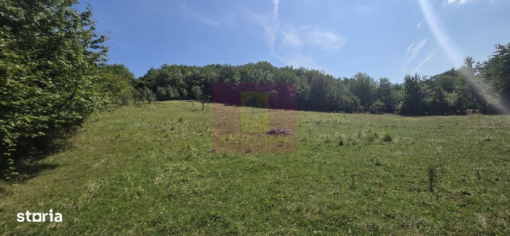 Teren intravilan de vanzare 2500 mp in Banesti