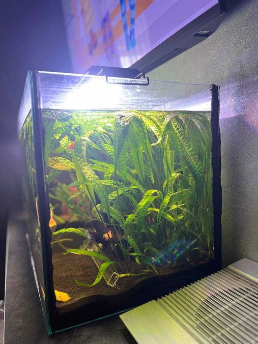 Продам аквариум 120л