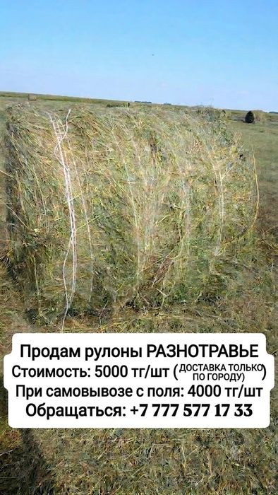 Продам сено. Разнотравье и луговое