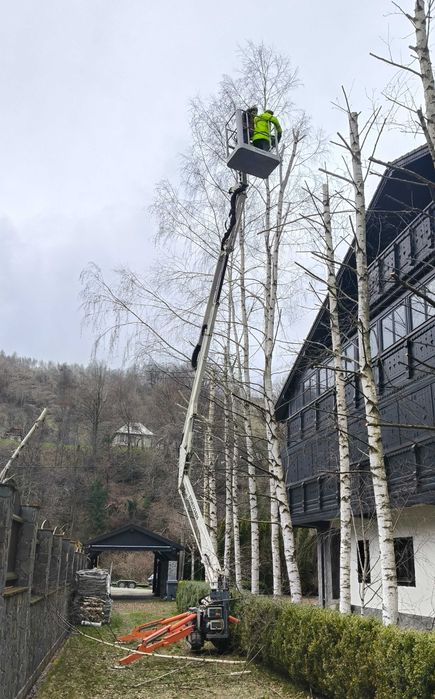 Închiriere nacela Spider 15 m