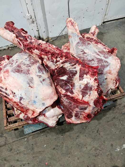 Мясо говядины конины баранины