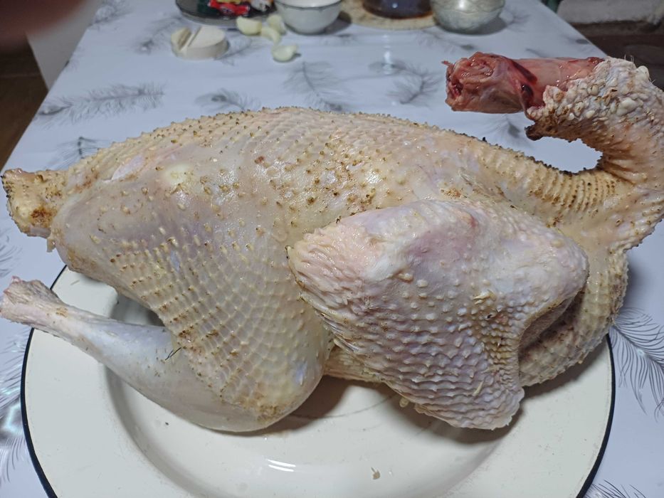Продам мясо индюков