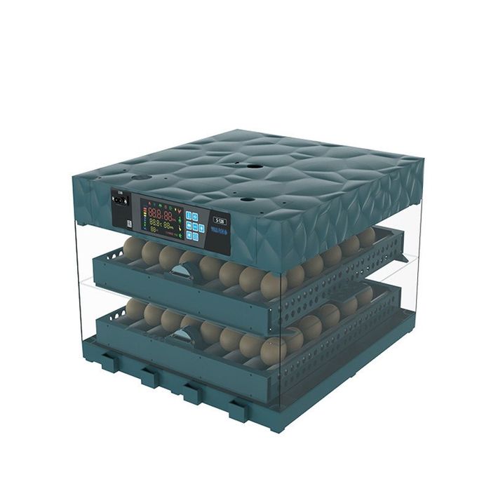 Inkubator, Tuxum ochgich, Joʻja